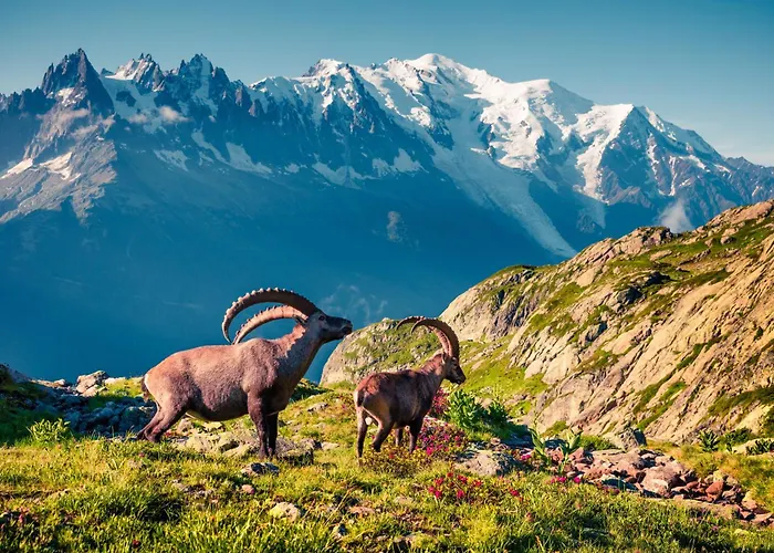 Sud - Balme 111 - Happy Apartment *